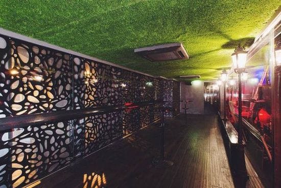 Artificial Grass Ceiling